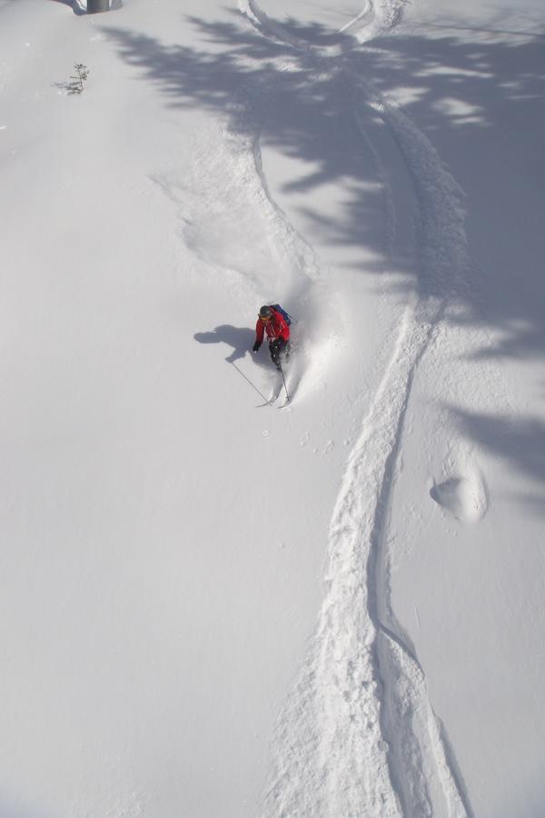 Ski Breezy Chalet Chamonix Buitenkant foto